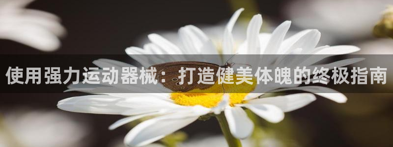 尊龙凯时z6官网：使用强力运动器械：打造健美体魄的终